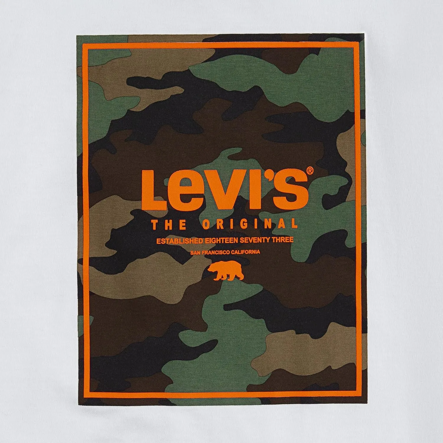 Levi's Boys' 2-Pack Graphic T-Shirt