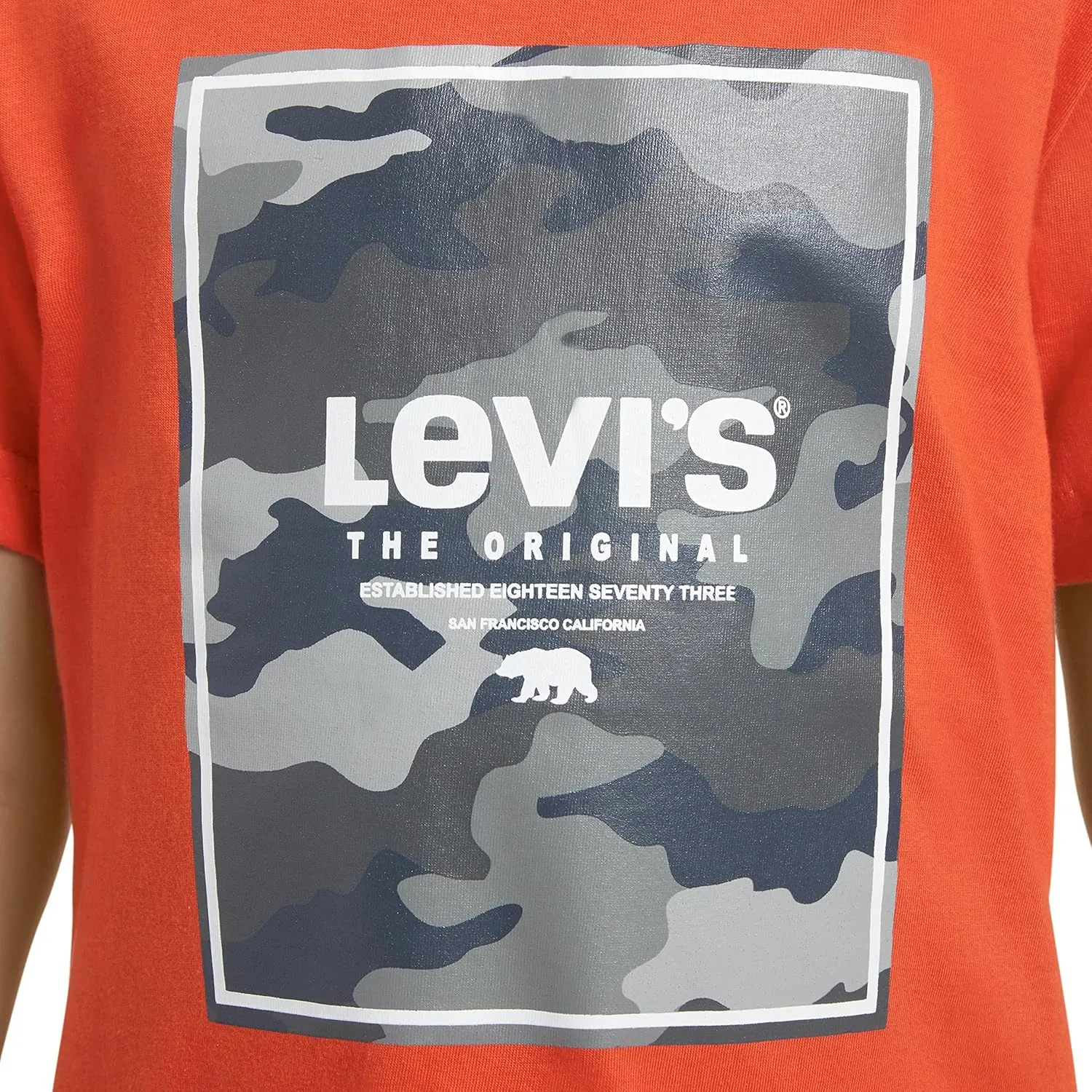 Levi's Boys' 2-Pack Graphic T-Shirt