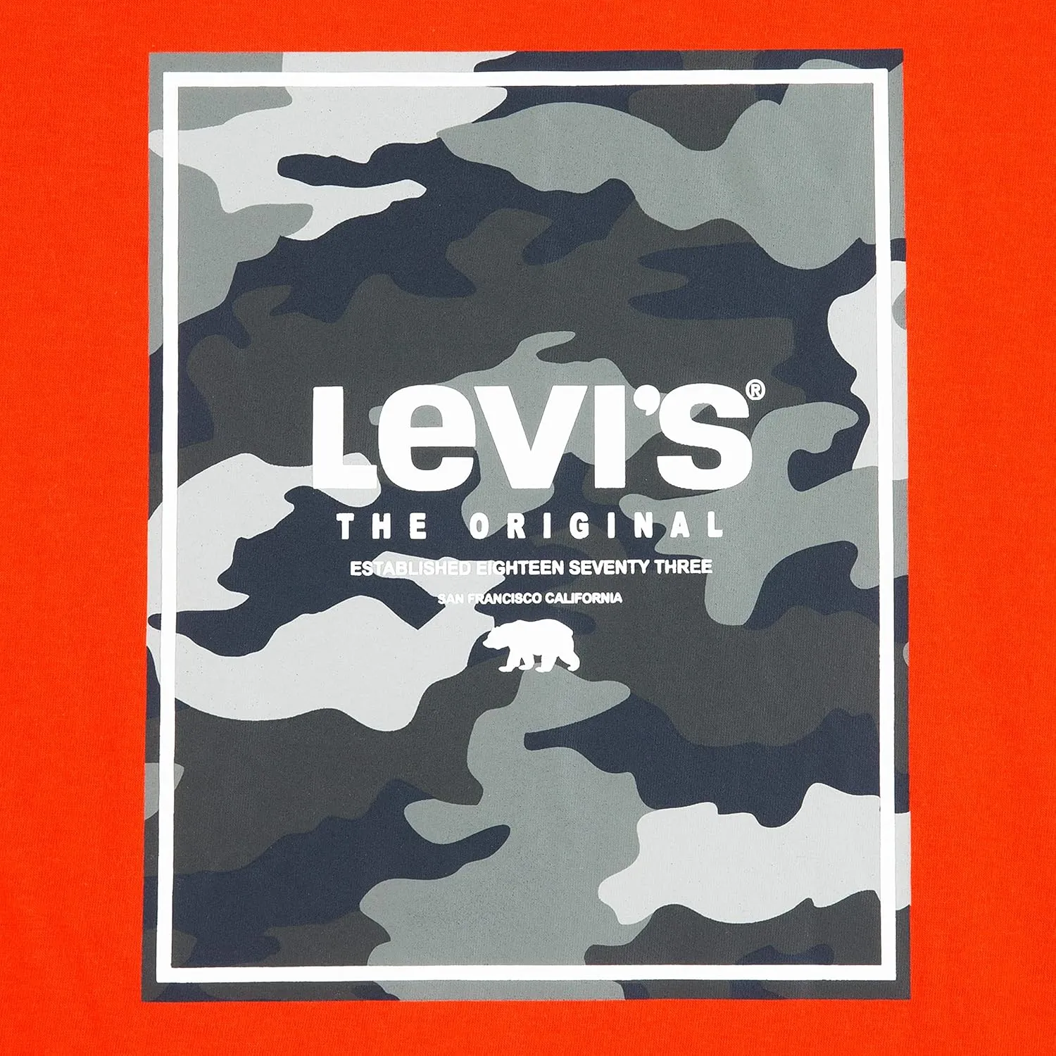 Levi's Boys' 2-Pack Graphic T-Shirt