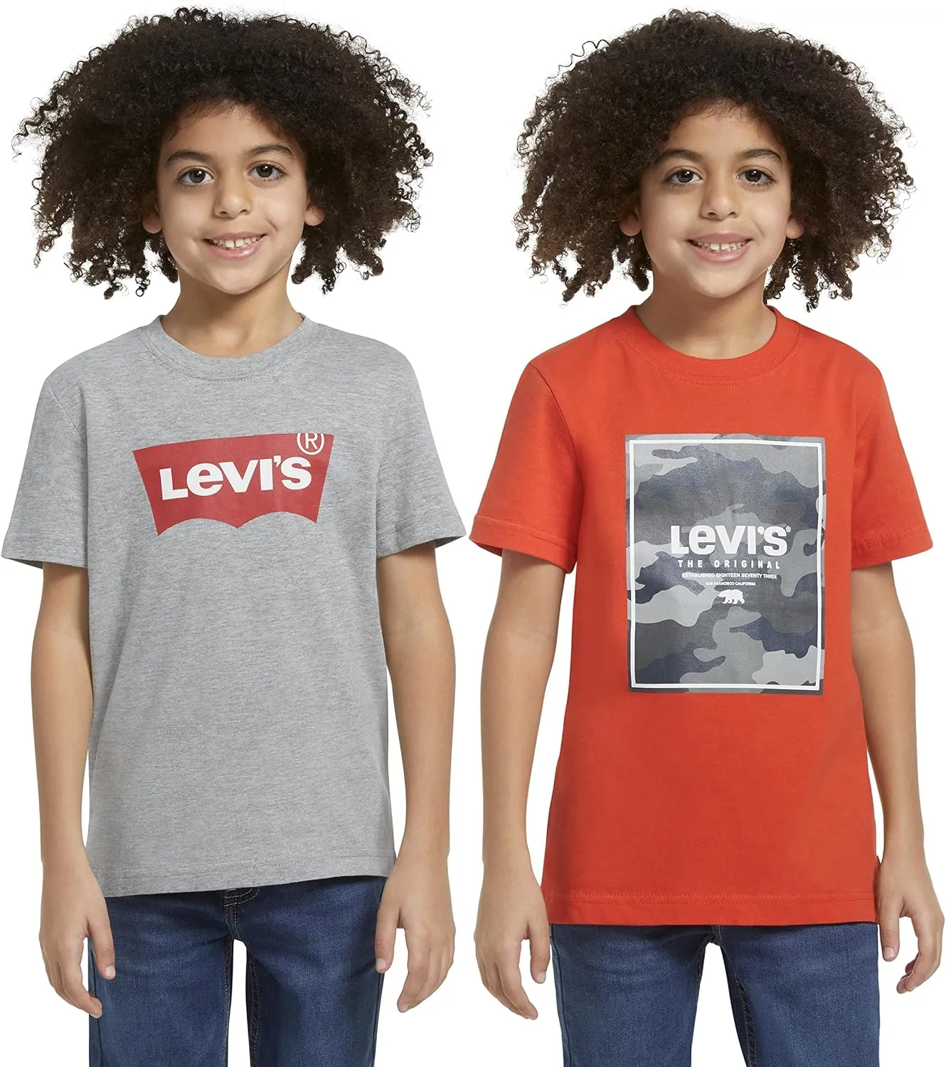 Levi's Boys' 2-Pack Graphic T-Shirt