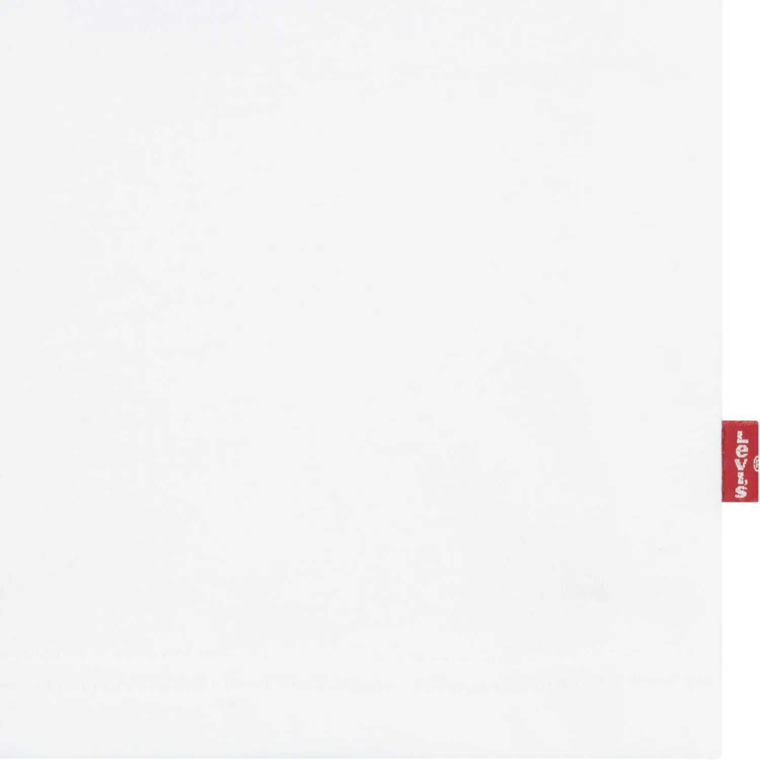 Levi's Boys' 2-Pack Graphic T-Shirt