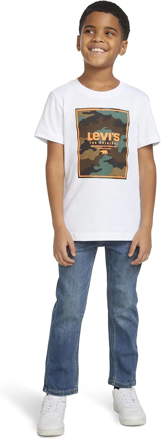 Levi's Boys' 2-Pack Graphic T-Shirt