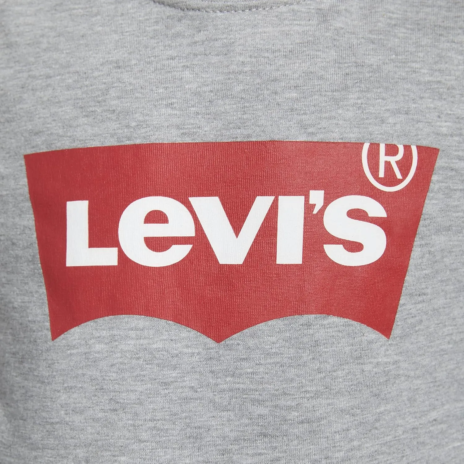 Levi's Boys' 2-Pack Graphic T-Shirt