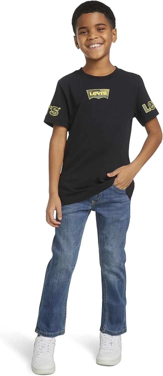 Levi's Boys' 2-Pack Graphic T-Shirt