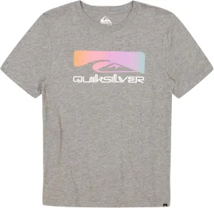 Quiksilver Boys' Short Sleeve Logo Graphic T-Shirt